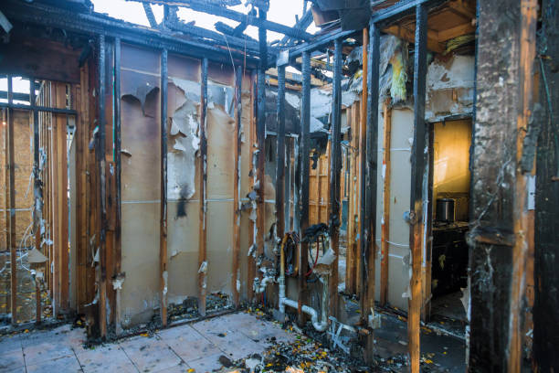 Professional Odor Removal technician working in Beckett, NJ